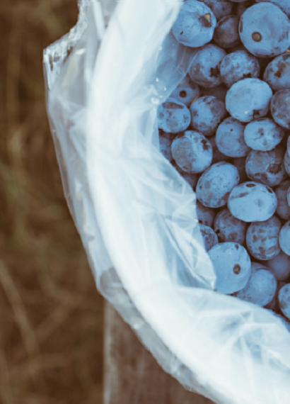 Plastic Bag with Blueberries